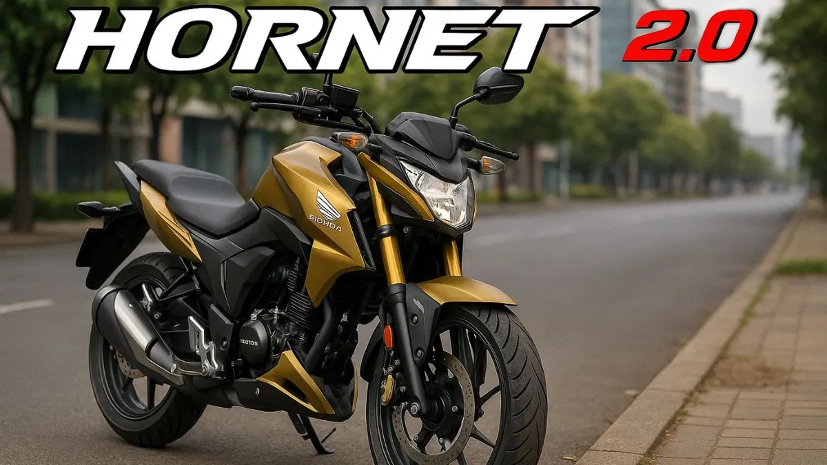 Honda Hornet 2.0